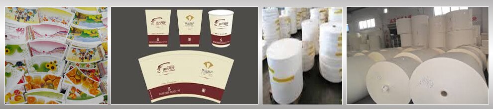 Bengaluru Paper Cups in Bangalore, India