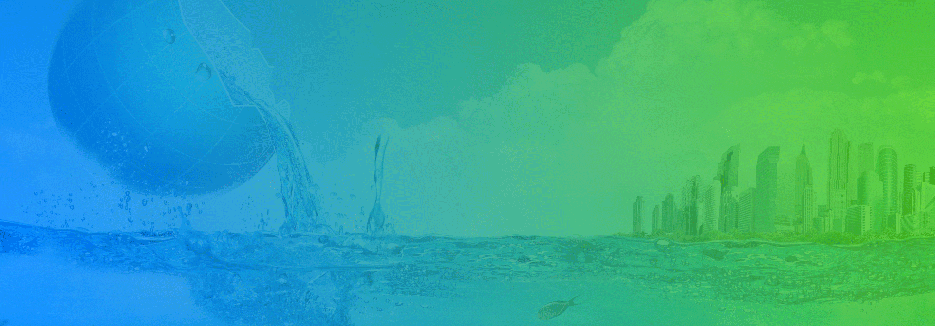 banner image