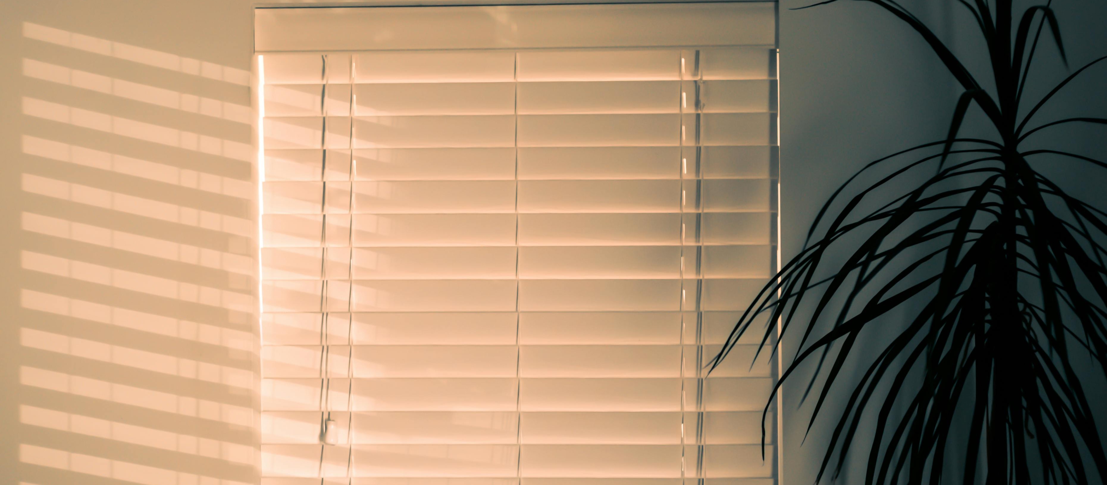 banner image
