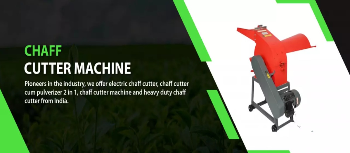 banner image