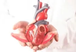 Dr Ashish Khanijo Cardiac Specialist. 08