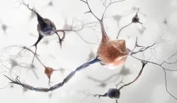 Neuron Brain, Spine & Critical Care Cent