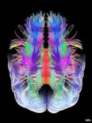 Dr. Kaustubh Dindorkar's Brain & Spine S