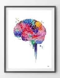 Dr. Kaustubh Dindorkar's Brain & Spine S