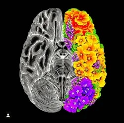 Dr. Kaustubh Dindorkar's Brain & Spine S