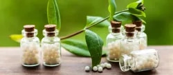 Shree Homoeopathic Clinic -08042781510