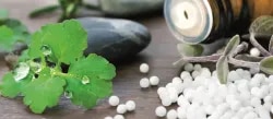 Shree Homoeopathic Clinic -08042781510