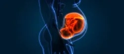 Dr Agrawal Clinic Nerul Navi Mumbai