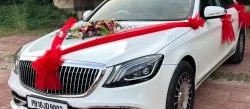 Wedding Ride Punjab: Best Luxury Wedding