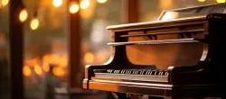 New Veena Musicals