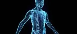 Dr DineshRam Orthopedician ECR