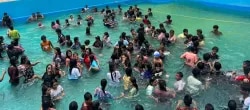 The Tiger Paradise Resort & Water Park